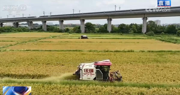 融合配资 良机良种良技绘就早稻好“丰”景 “新农人”正逐渐成为“兴农人”_大皖新闻 | 安徽网