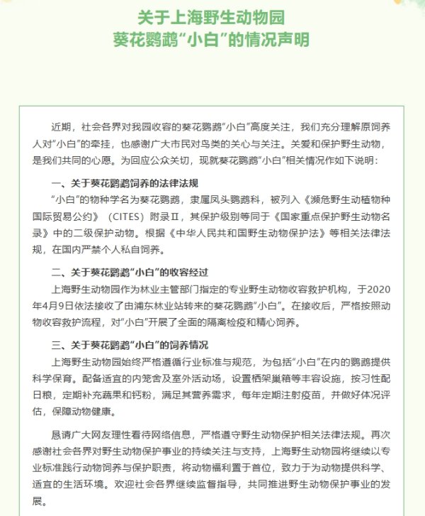 天盈财富 五年前收容的鹦鹉引发热议，上海野生动物园回应