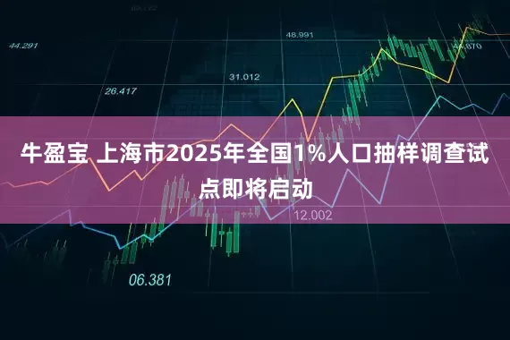 牛盈宝 上海市2025年全国1%人口抽样调查试点即将启动