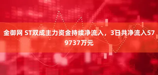金御网 ST双成主力资金持续净流入，3日共净流入579737万元